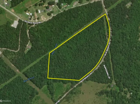 0 Blue Branch Rd Lot Wp00c, Gaffney, SC 29340
