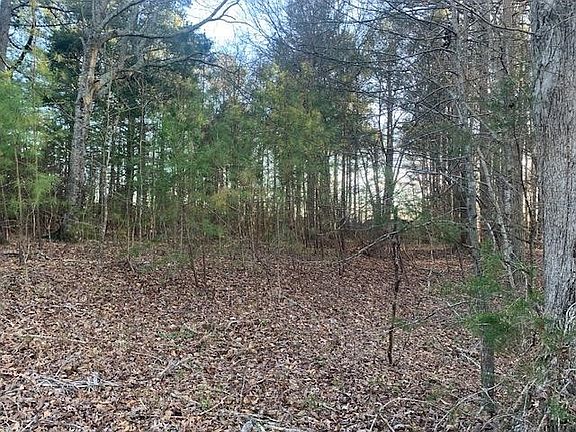 2nd image of 00 W Pond Fork Road