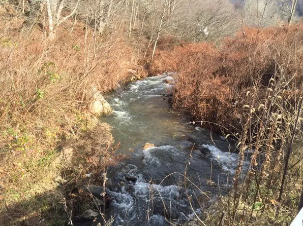 Cane Creek Rd, Bakersville, NC 28705