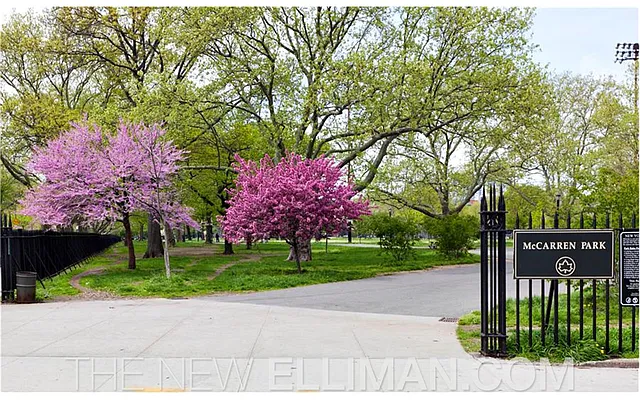 Sold by Douglas Elliman | media 22