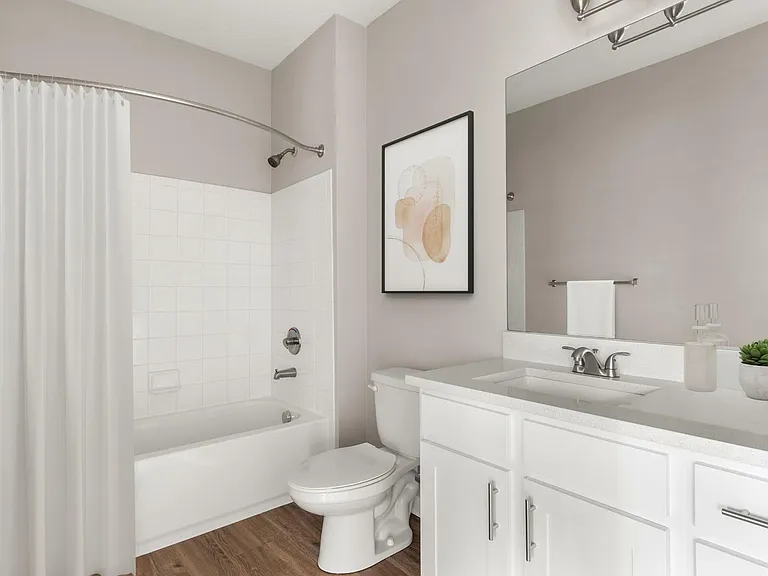 Premium Upgraded Home - Bathroom
