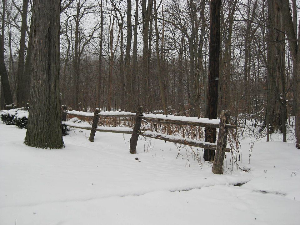 Next door in the winter