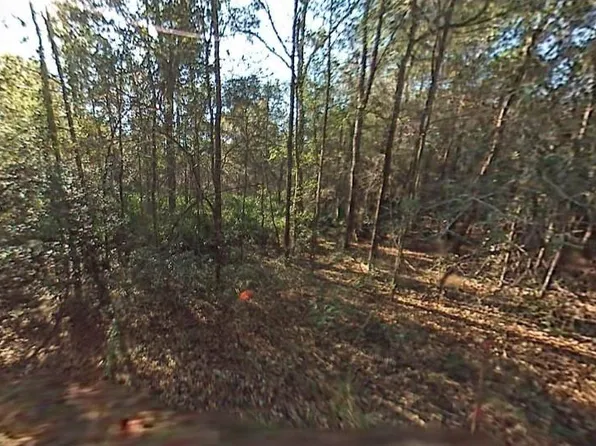 SW 29TH STREET, OCALA, FL 34481