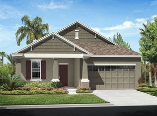 33124 Shadow Branch Ln, Wesley Chapel, FL 33545