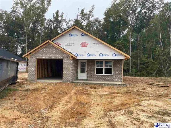3272 Spiral Ln, Effingham, SC 29541