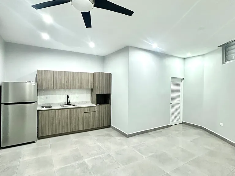 1504 Fernandez Juncos Ave #A — Photo 1
