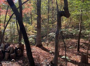 43 Madelyn Anthony Rd, Dahlonega, GA 30533