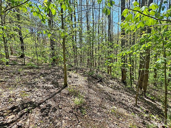 2nd image of Tbd Nc 209 Hwy