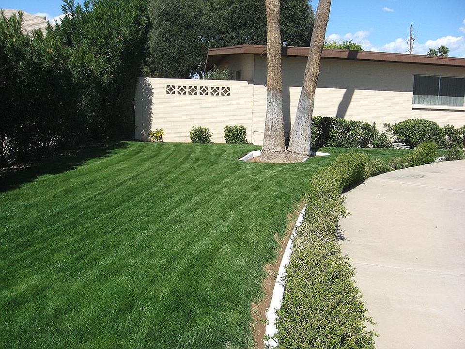 2nd image of 3348 E Yucca St