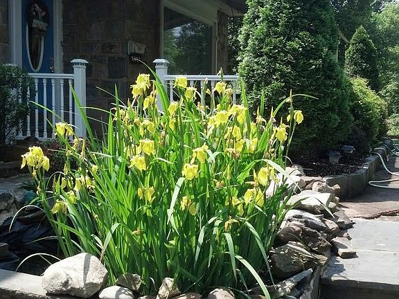 The Pond as you walk up to the front door