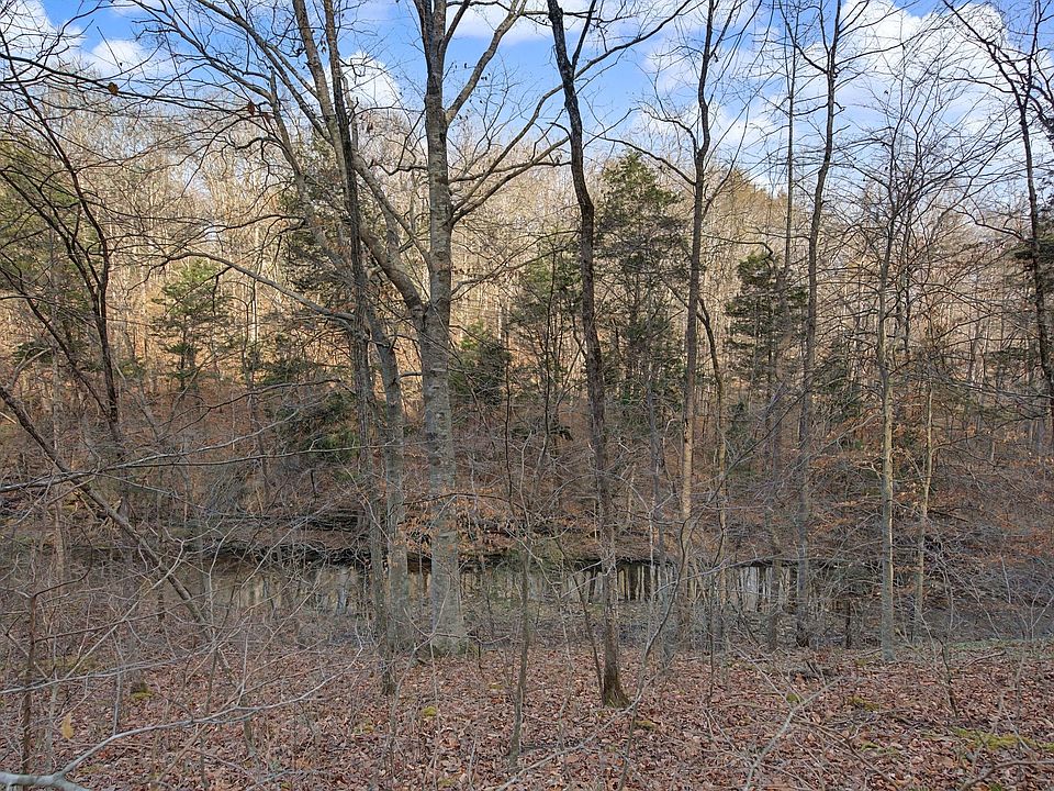 19th image of this home