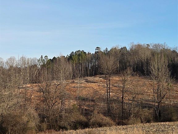 3rd image of Vacant Land Pole Running Rd