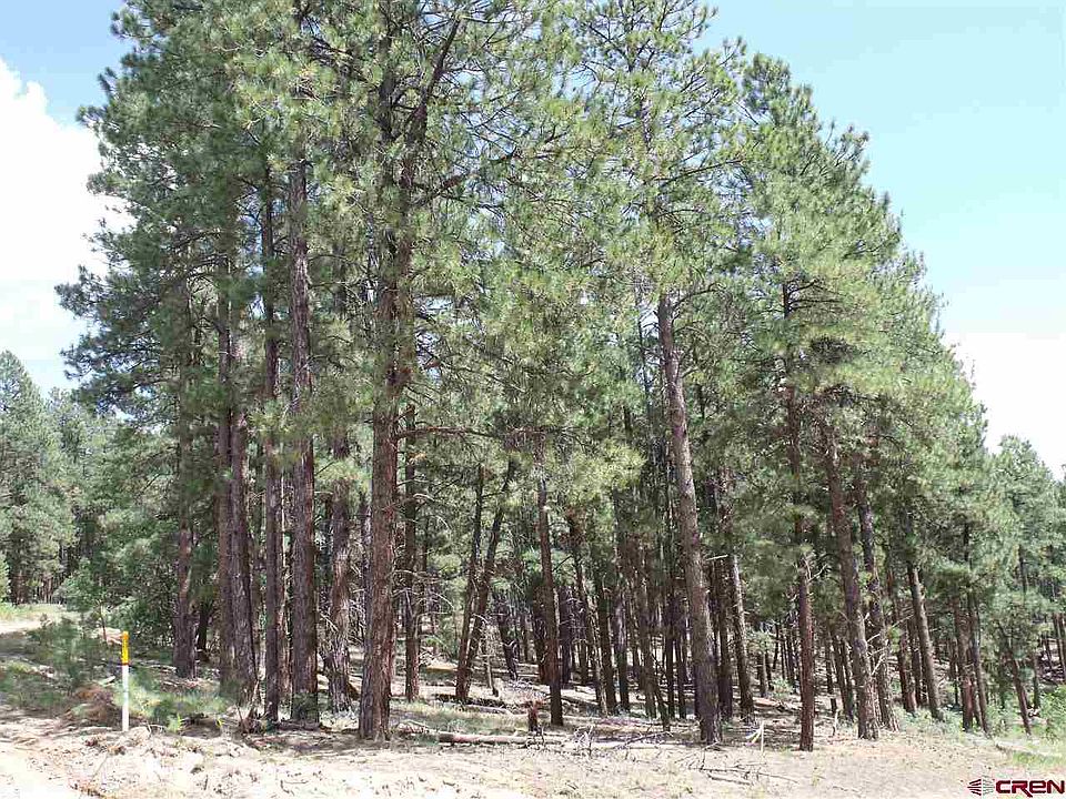 1st image of 234 Pine Top Dr