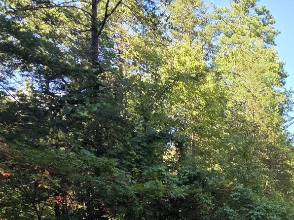 61 Buttonwood Dr Lot 61, Sevierville, TN 37876