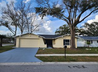 8205 Fishhawk Ave, New Port Richey, FL 34653