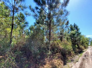 0 SW Camp Flt #10-1, Lee, FL 32059