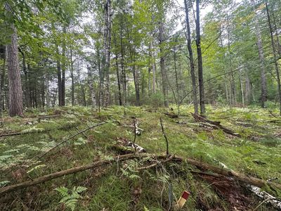 1257 Tall Pine Ter #7 & 14, Saint Germain, WI, 54558