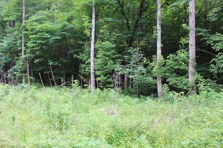 1st image of 655 County Rd
