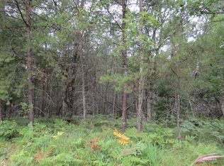 LOT 3 Loon Lake Rd, Danbury, WI 54830