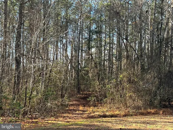 0B MCKENNEY DRIVE, WOODFORD, VA 22580