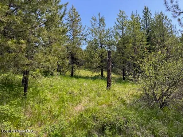 630 Willow Loop Rd, Fernwood, ID 83830