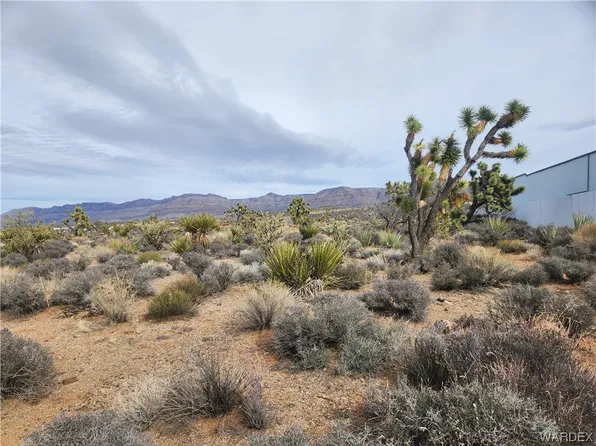 27080 N Pierce Ferry Road, Meadview, AZ 86444