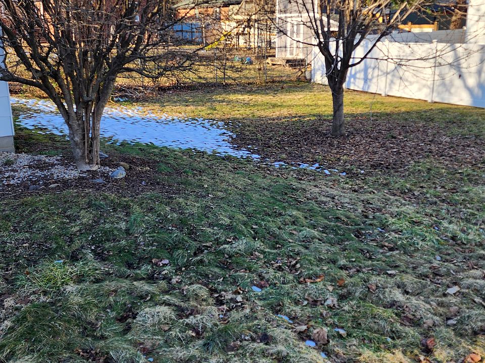 2nd image of 105 McCleoud Ln