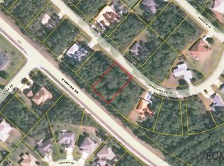 36 Ramblewood Dr, Palm Coast, FL 32164