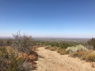 310 Juniper Rd, Pinon Hills, CA 92372