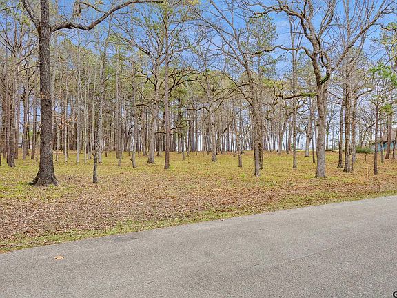 4th image of 15407 Sunrise Lake Ct