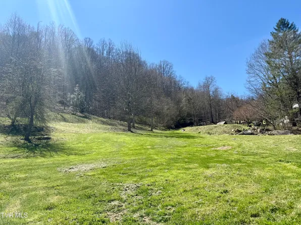111 Doty Rd, Roan Mountain, TN 37687