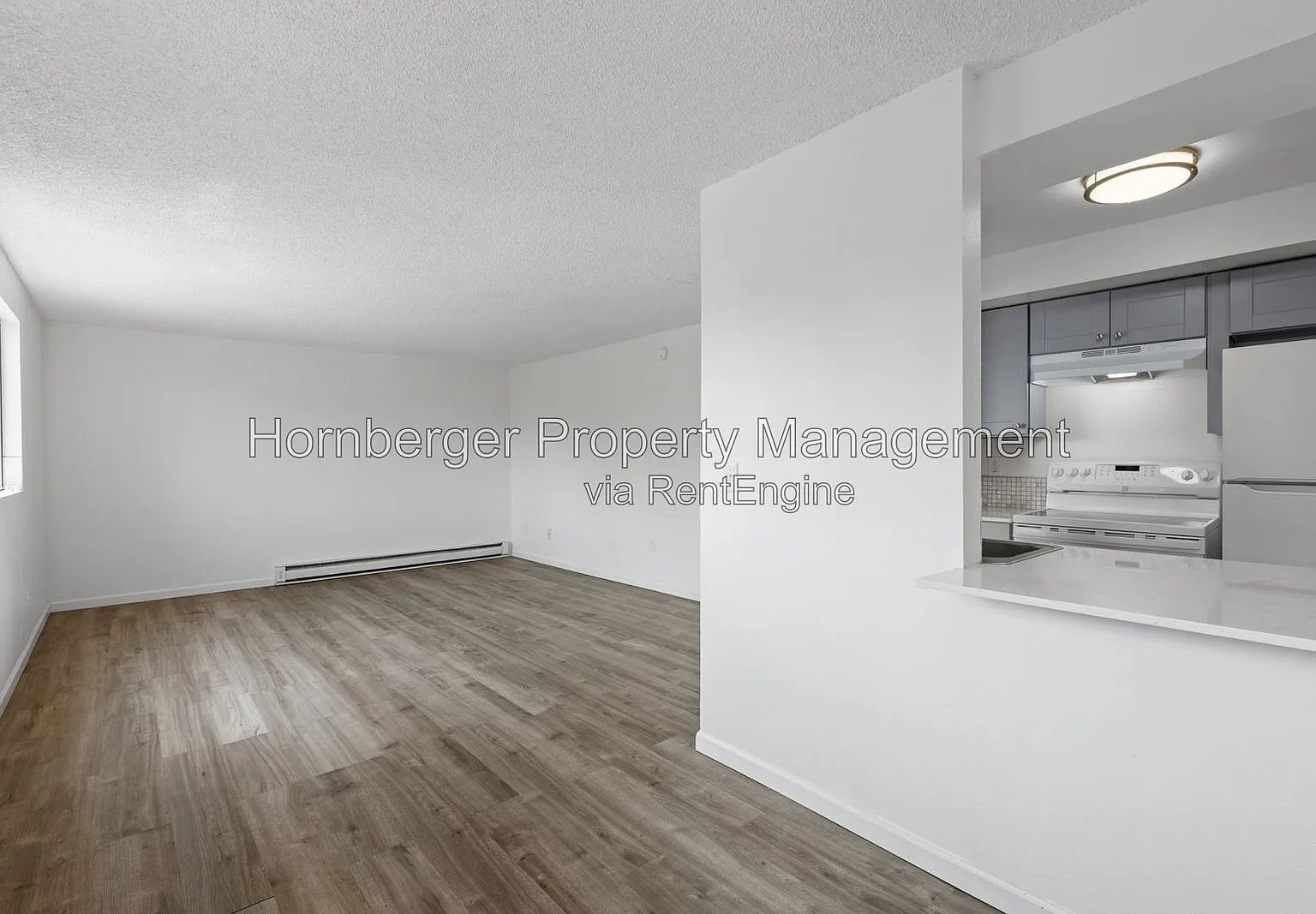 2 bed, 1.0 bath, 850 sqft, $995 — Photo 3