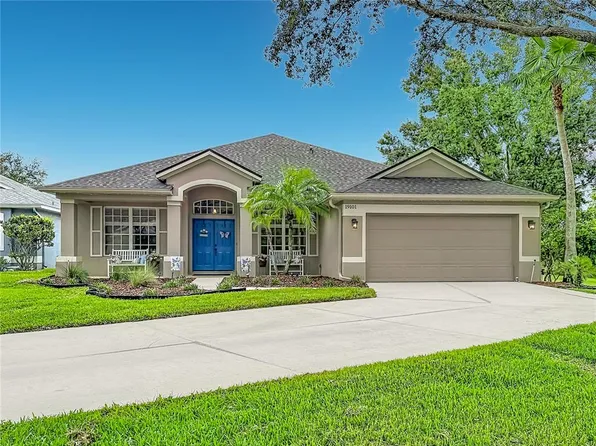 19101 Golden Cacoon Pl, Lutz, FL 33558