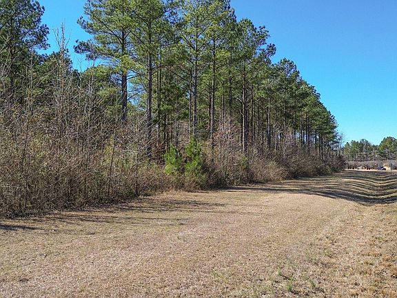 5th image of 4 W Jess Lyons Rd