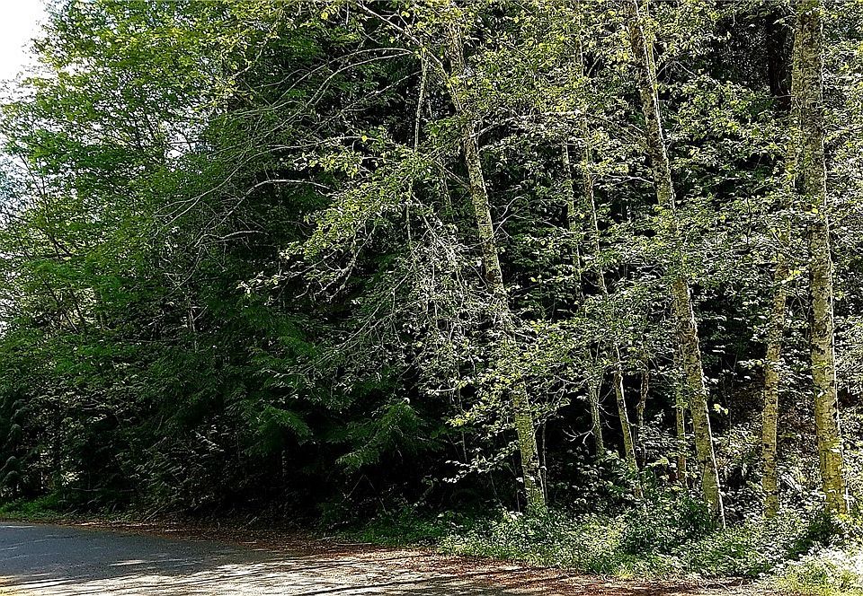 1st image of 281 N Olympic Trails Dr