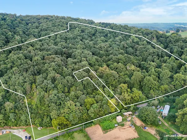 Flat Gap Rd, New Market, TN 37820