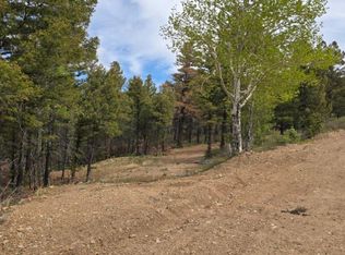 Lot 5825 Covington Road LOT 5825, Fort Garland, CO 81133
