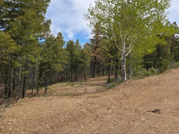 Lot 5825 Covington Road LOT 5825, Fort Garland, CO 81133