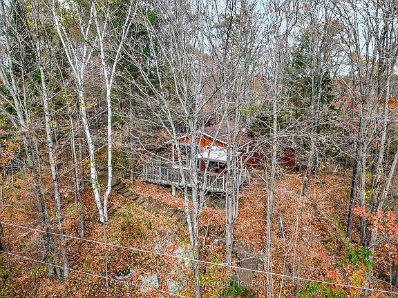 5th image of 1081 Cinnamon Ln
