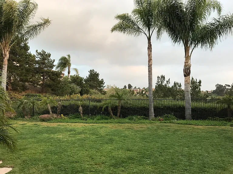 7908 Calle Oliva — Photo 20