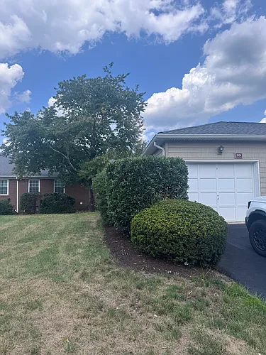 99 Brandywyne Dr Photo 1
