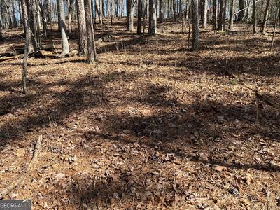 630 Armor Way N, Ellijay, GA, 30540