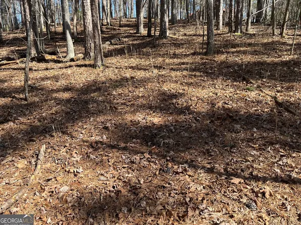 630 Armor Way N, Ellijay, GA 30540