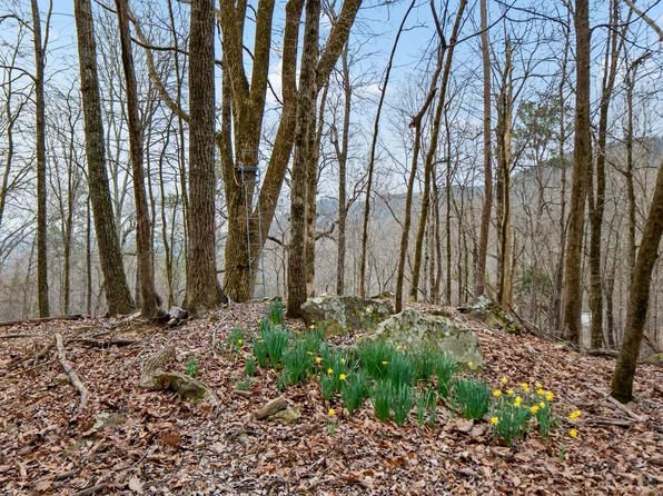 LOT 8 Raulstontown Rd, South Pittsburg, TN 37380