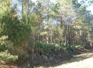 171 Buck Swamp Rd, Brunswick, GA 31523