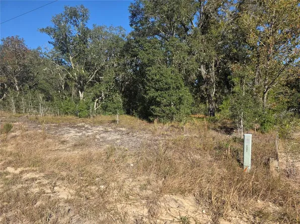 LOT 31 SW Viburnum Rd Lot 31, Dunnellon, FL 34431