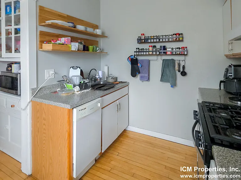 4517 N Greenview Ave #1 — Photo 4