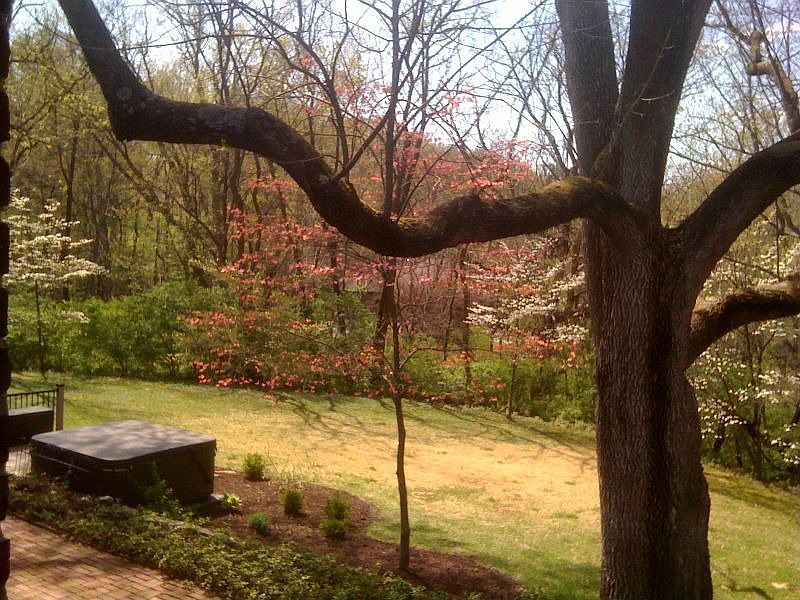 1st image of 651 Hickory Ln