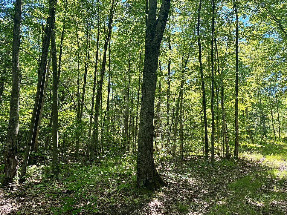 2nd image of 0 Summit St