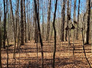 0 Tedle Brook Rd, Jefferson, NY 12093